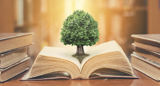 GettyImages-899906782 1